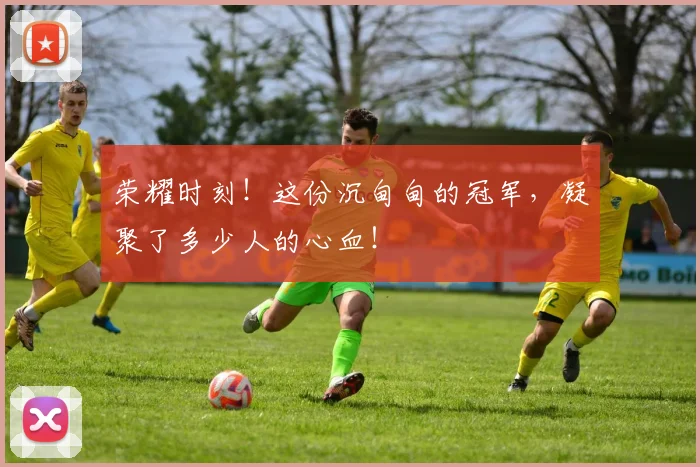 荣耀时刻！这份沉甸甸的冠军，凝聚了多少人的心血！